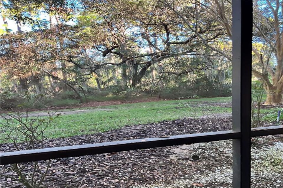 Patio view