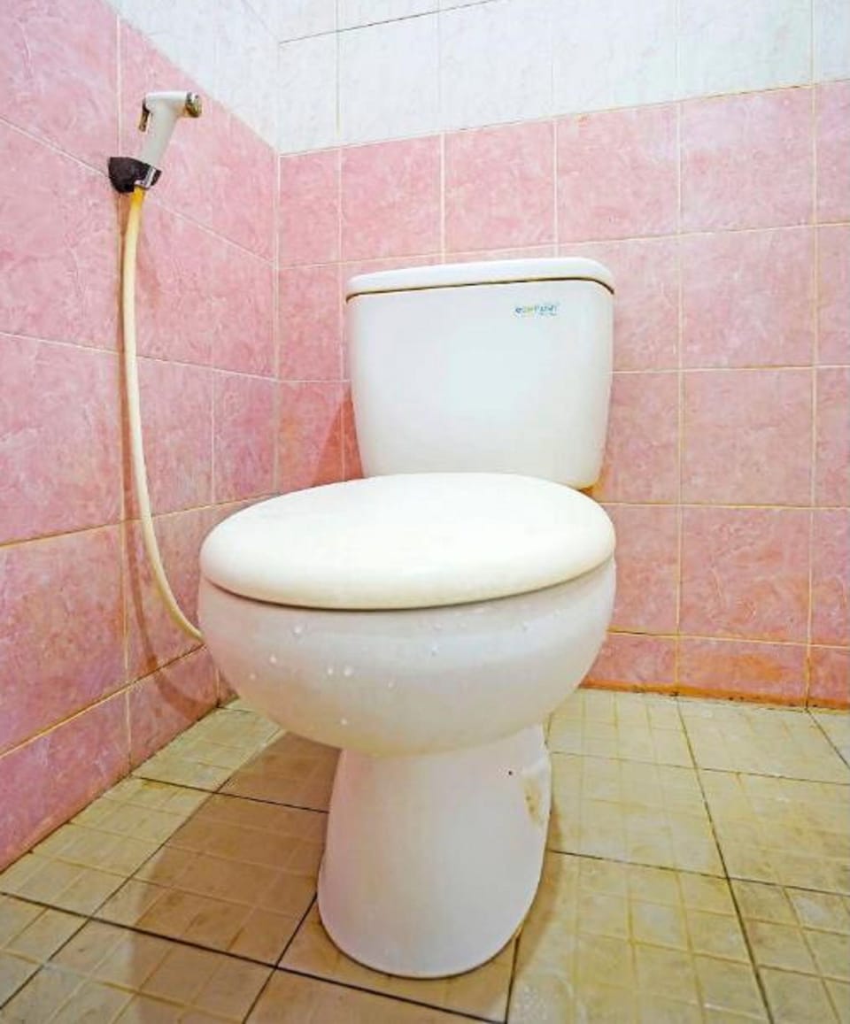 Shower, towels, toilet paper