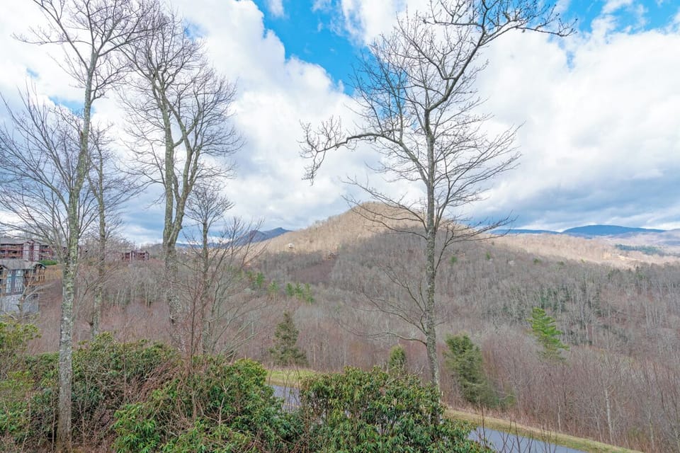 Deck Area--- Winter Mountain View