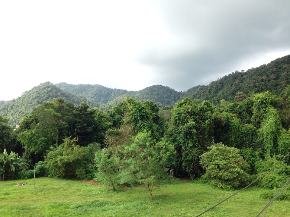 View from property