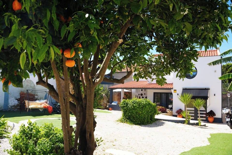 Veja-se a descontrair neste jardim privativo com área de descanso e vegetação