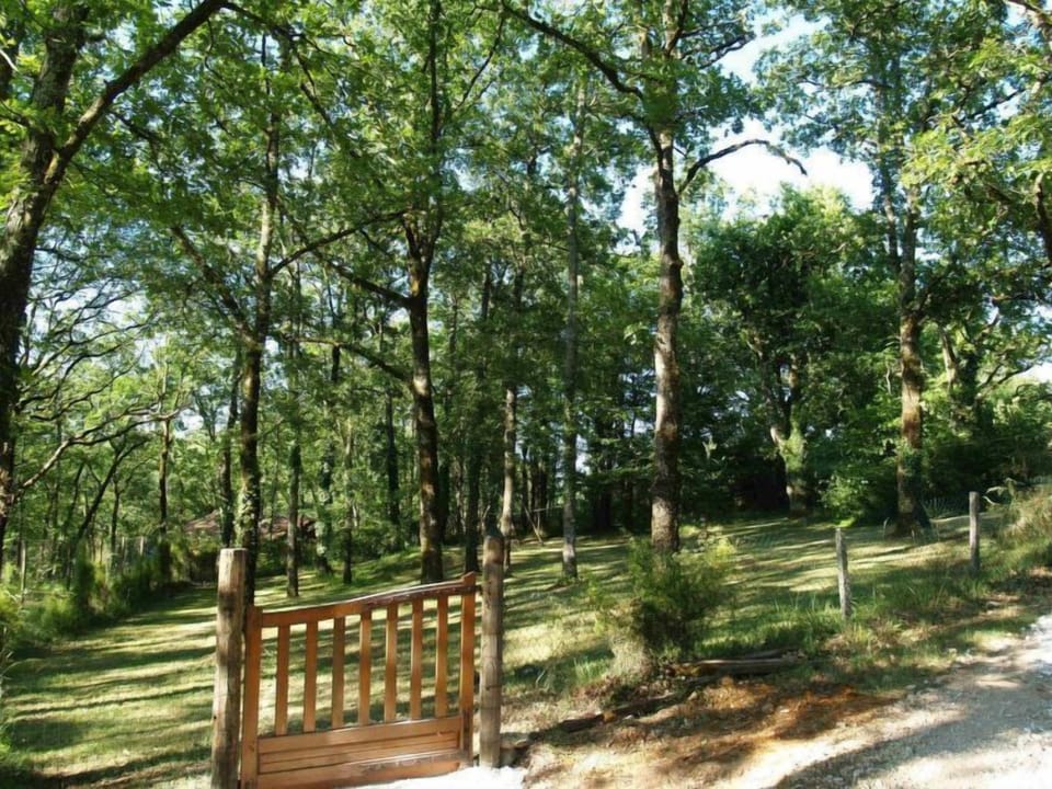 Outdoor
