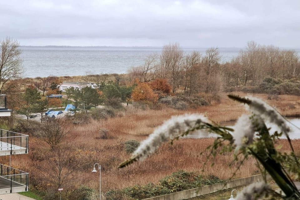 View / Balcony