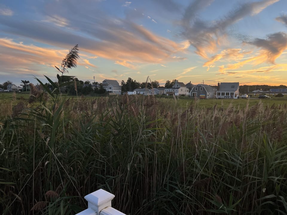 View from property