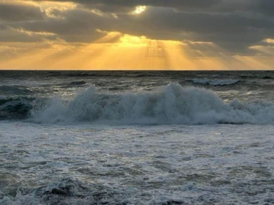 Lemon Bay