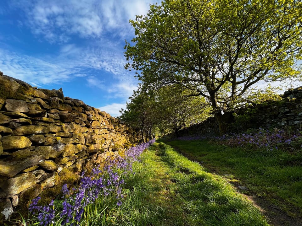 Cottage | Property grounds