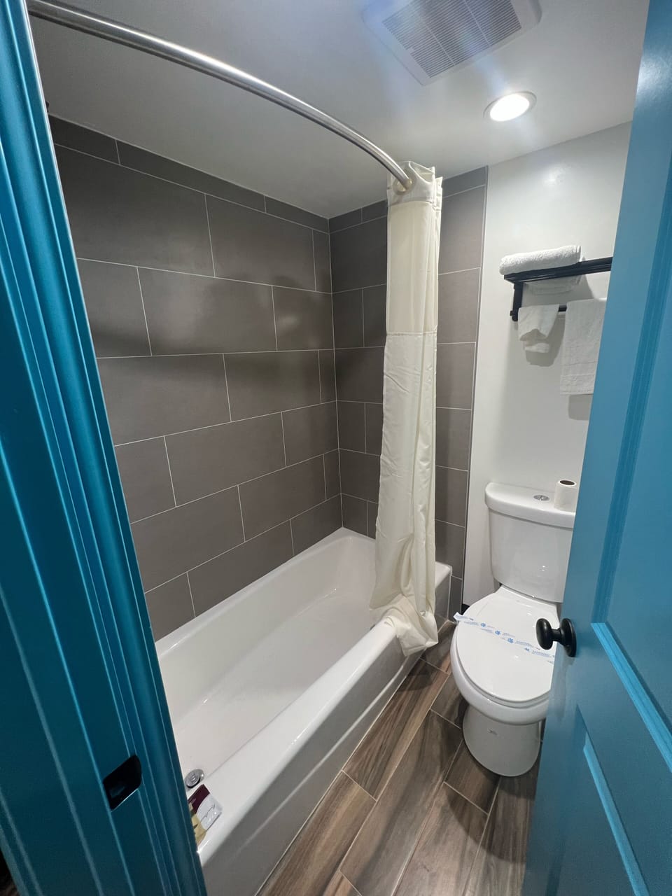 Premium Room, 1 King Bed | Bathroom | Bathtub, deep soaking tub, hair dryer, towels