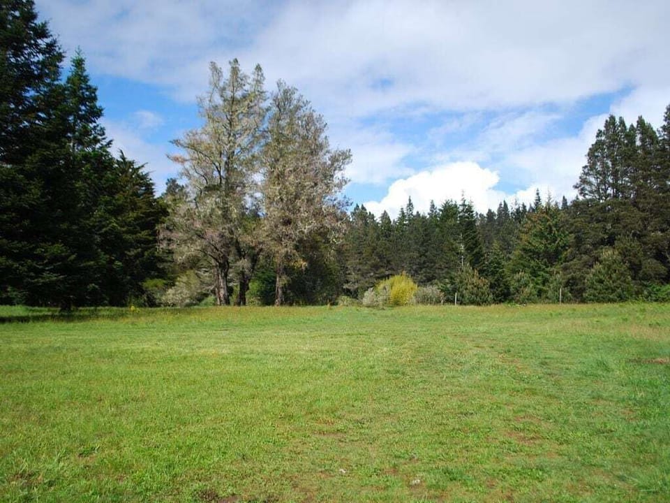 Meadow on property in springtime