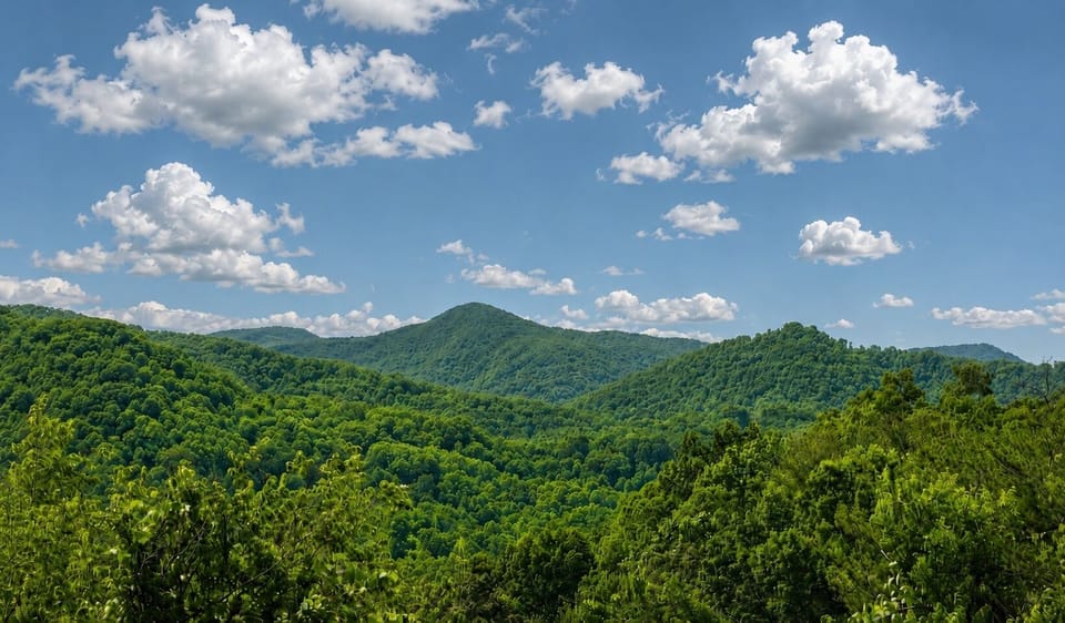 Mtn View from Deck & Yard - yet close to Main St. 
