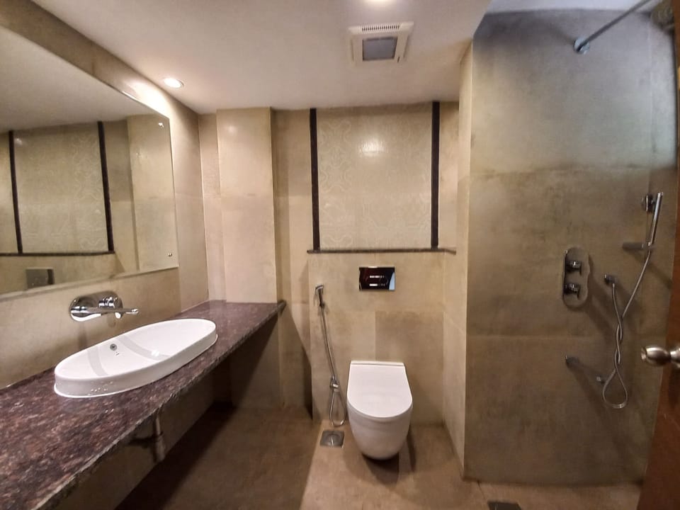 Standard Double Room | Bathroom | Shower, rainfall showerhead, free toiletries, hair dryer