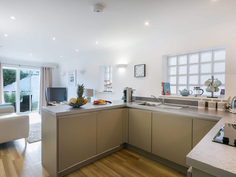 Fridge, dishwasher, cookware/dishes/utensils