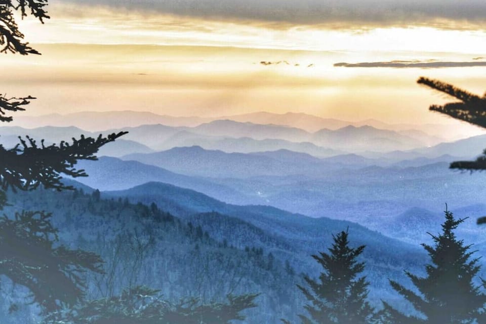 Water Rock Knob 20 minutes away! Photo credit to my sweet friend Joy Watkins