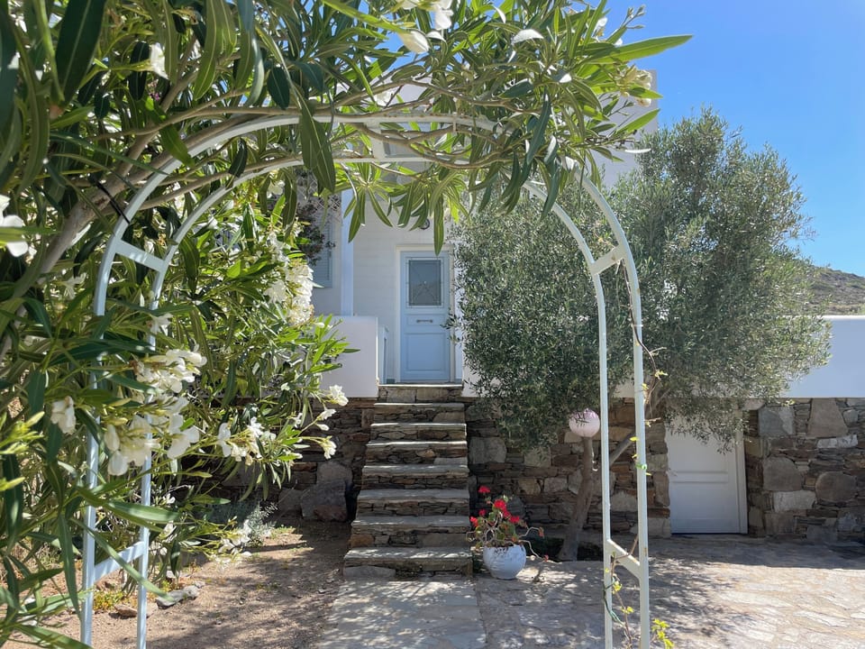 Entrance to house viewed from the front garden