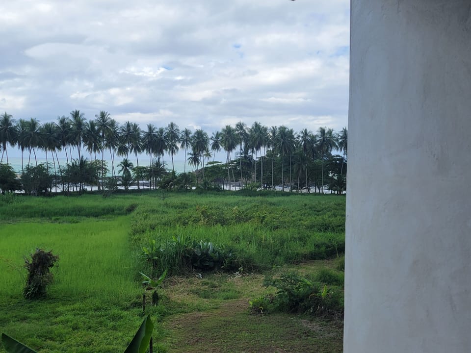 View from property