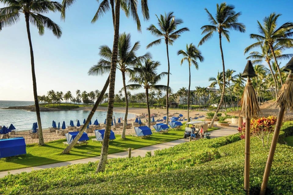 Beautiful beach area