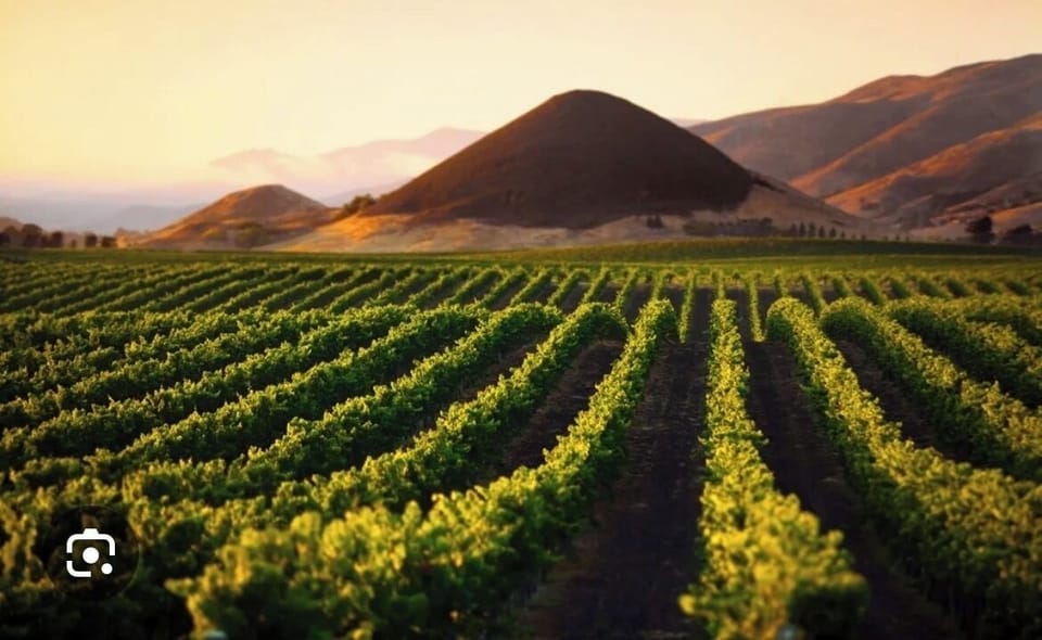 A 20 minute drive to wineries of Edna Valley