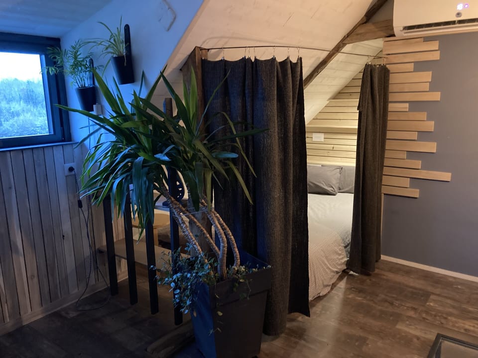 Panoramic Studio, Multiple Beds, Garden View | Blackout drapes, soundproofing, travel crib, free WiFi