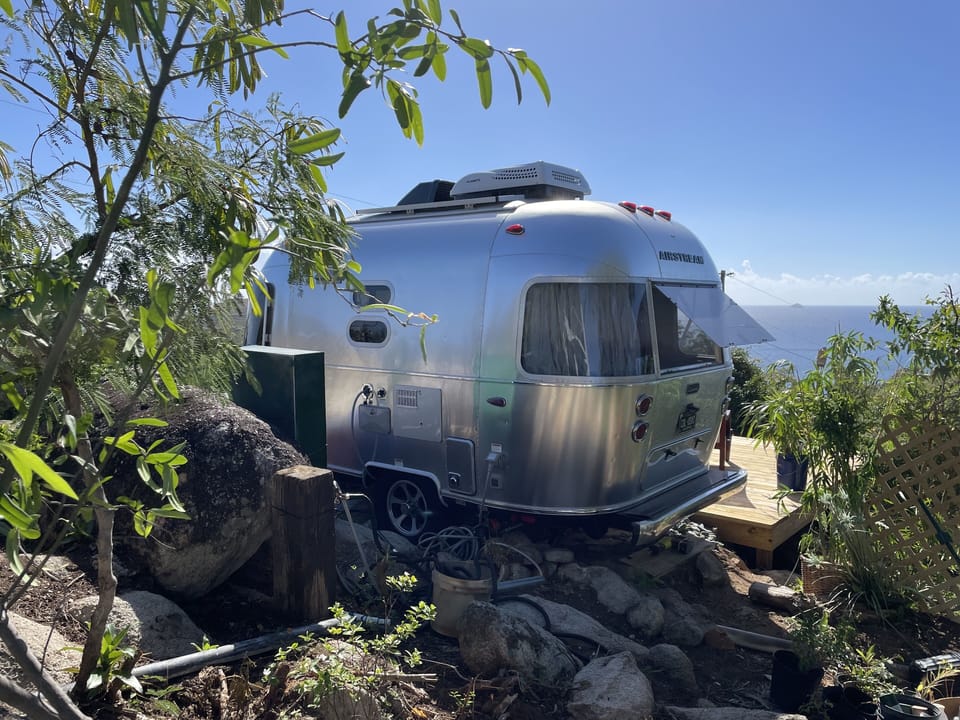 Sitting pretty overlooking the sea. 🌴