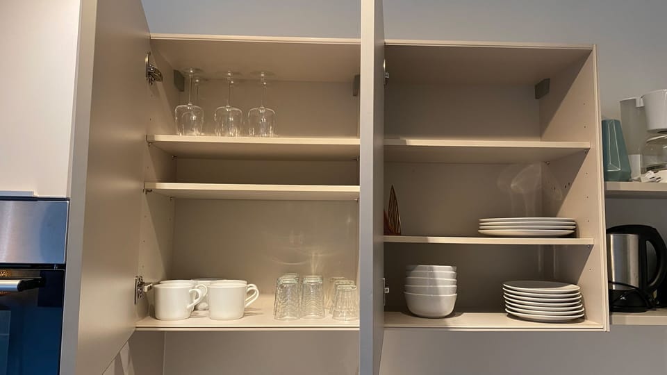 Fridge, oven, stovetop, electric kettle