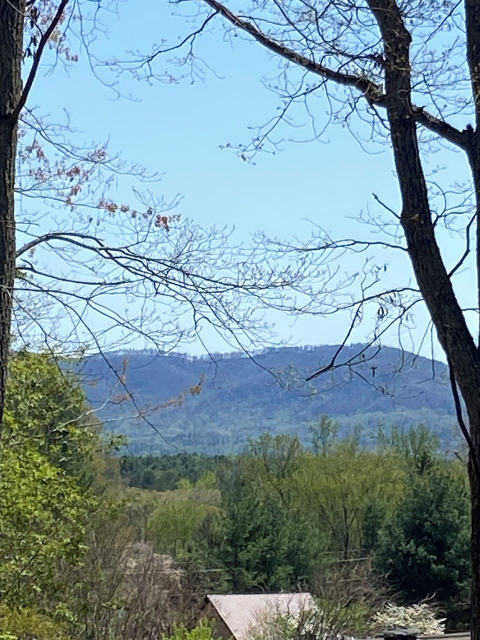 Mountain View from the back patio!
