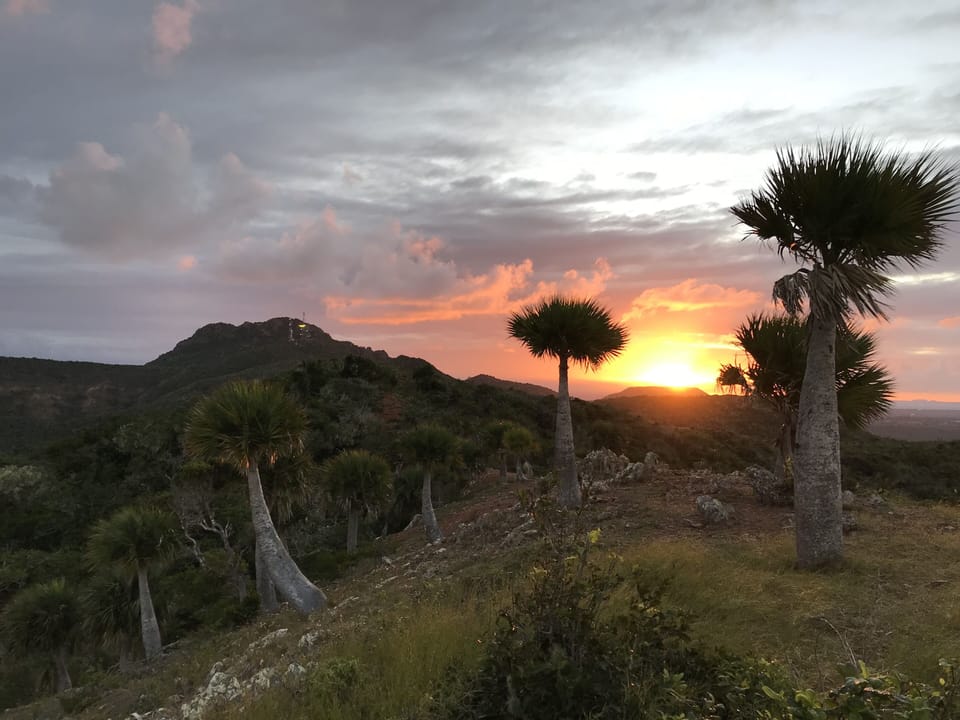 Sunrise hike in the hills behind the house.