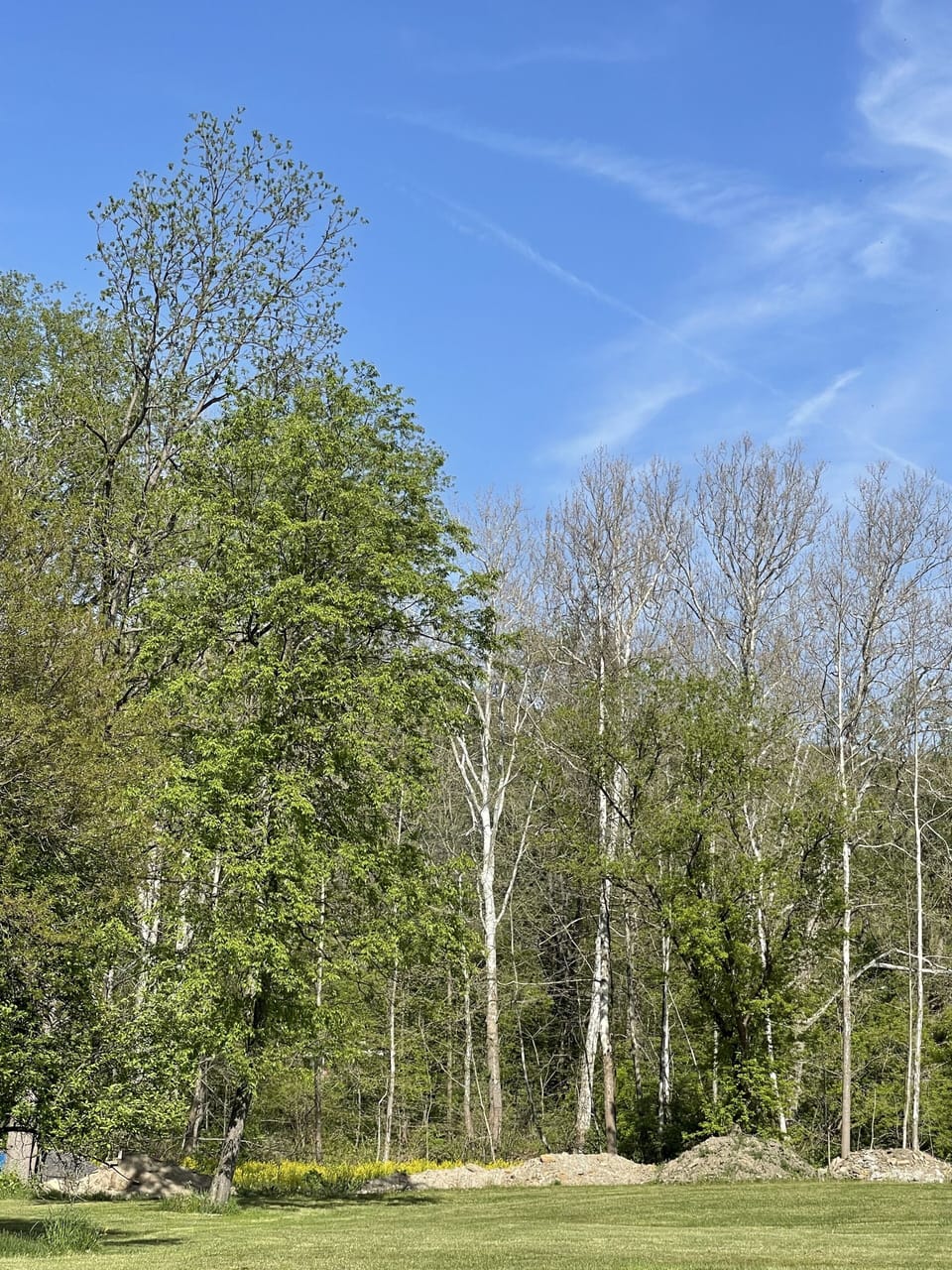 Wooded area with creek for fishing ~ native trout and brown trout are stocked. 