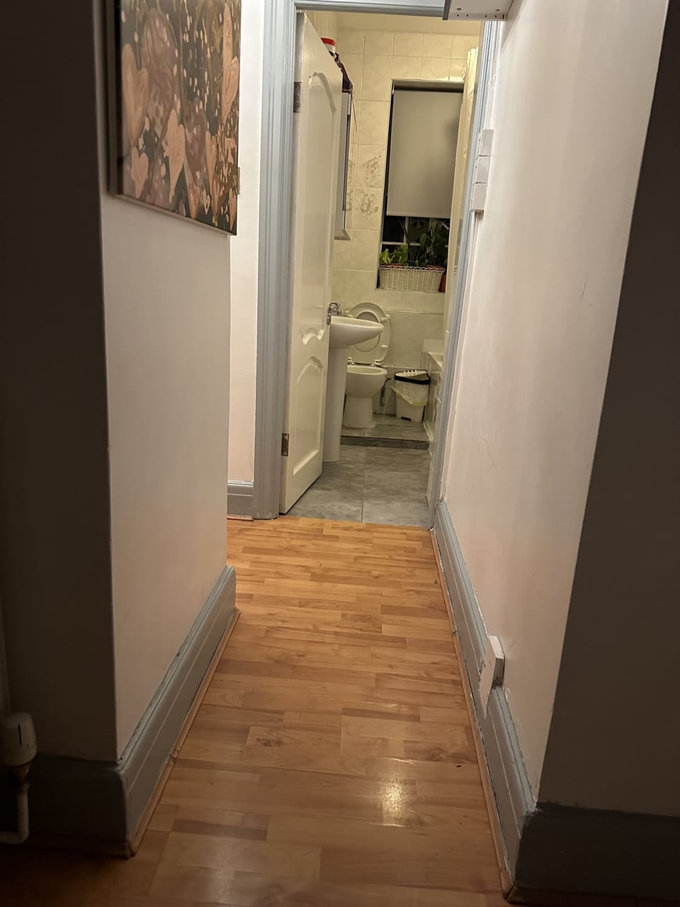 Hallway to bathroom.