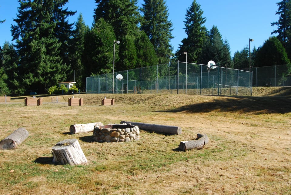 Basketball court