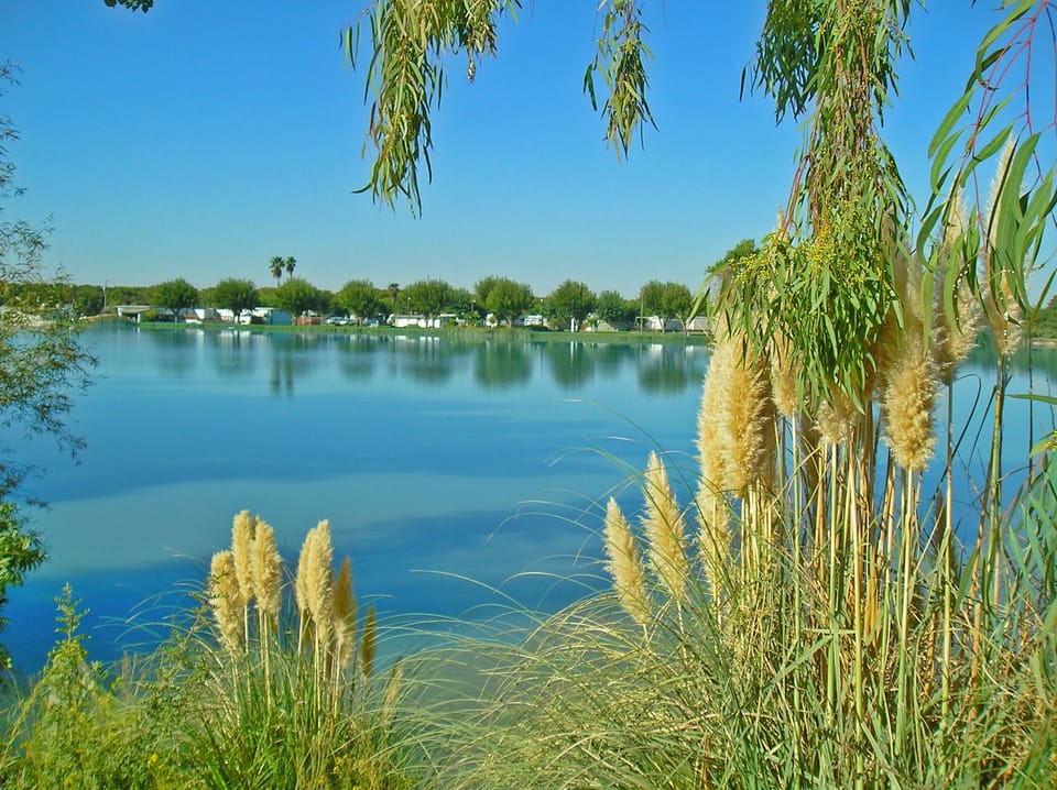 Lake