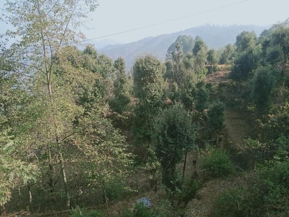 Studio, 1 Bedroom, Smoking, Balcony | View from property