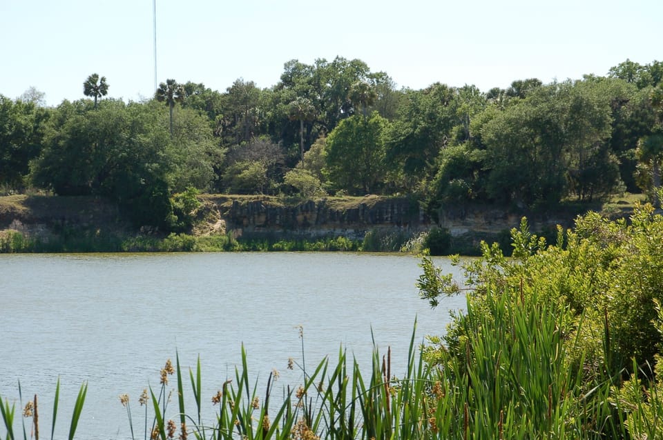 Lake view