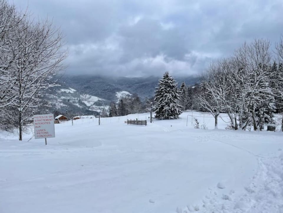 Snow and ski sports