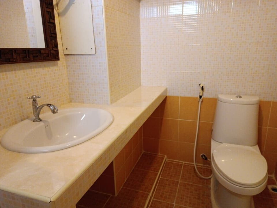 Shower, bidet, towels, toilet paper