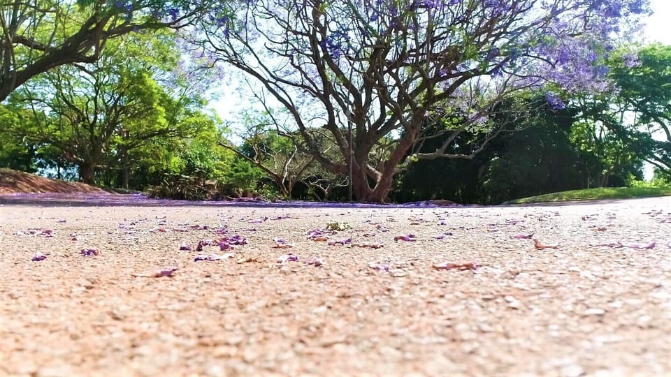 House, 2 Bedrooms, Garden View | Miscellaneous