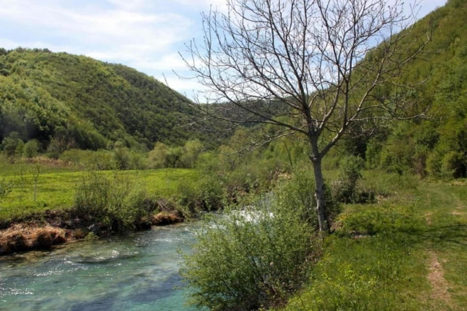 Region [summer] (>5 km)