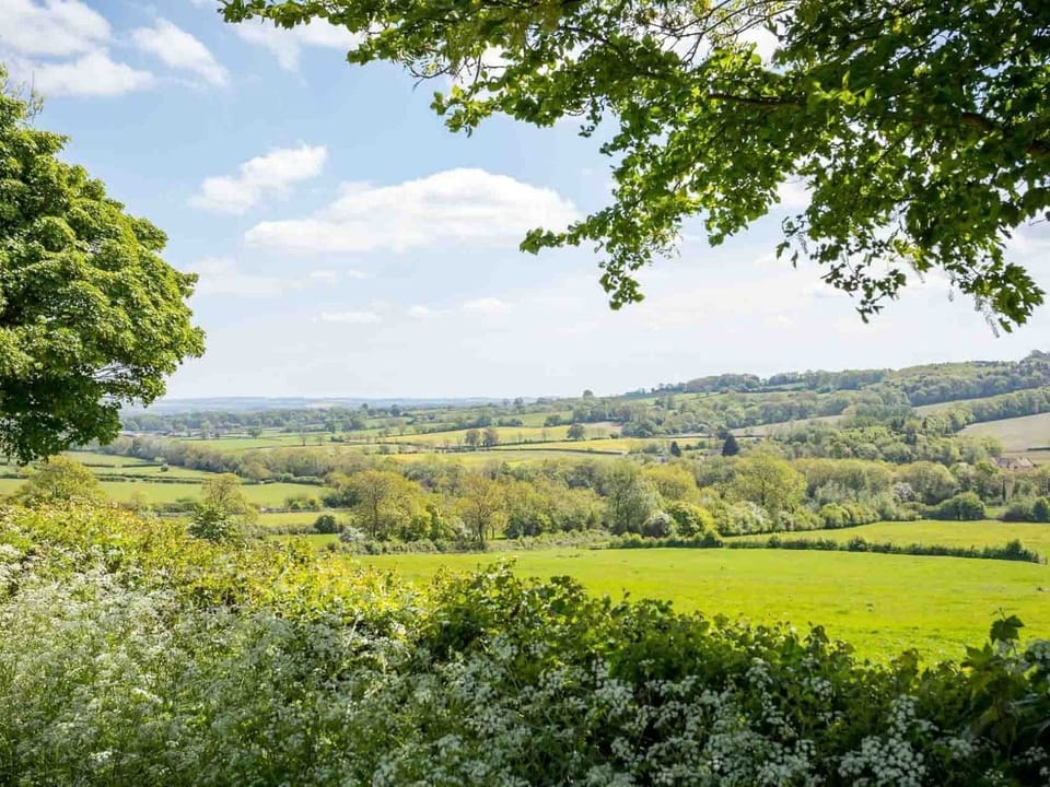 Cottage | Property grounds