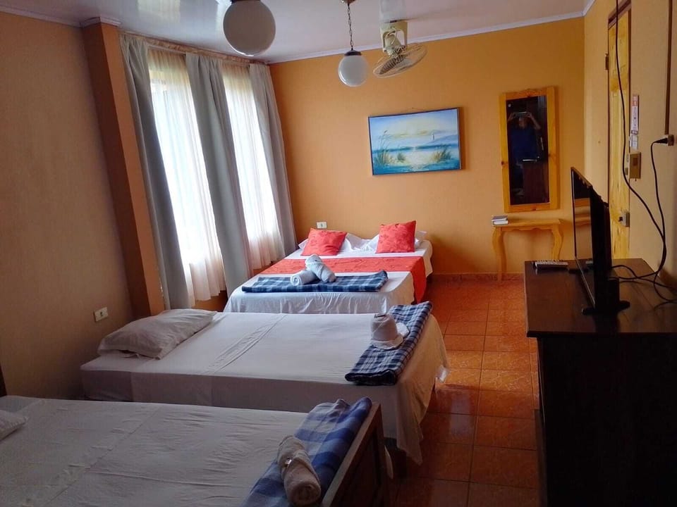 Basic Room | Laptop workspace, free WiFi, bed sheets