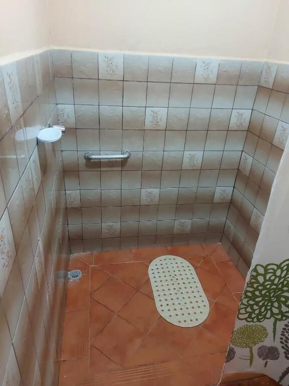 Basic Room | Bathroom | Shower, rainfall showerhead, towels, soap