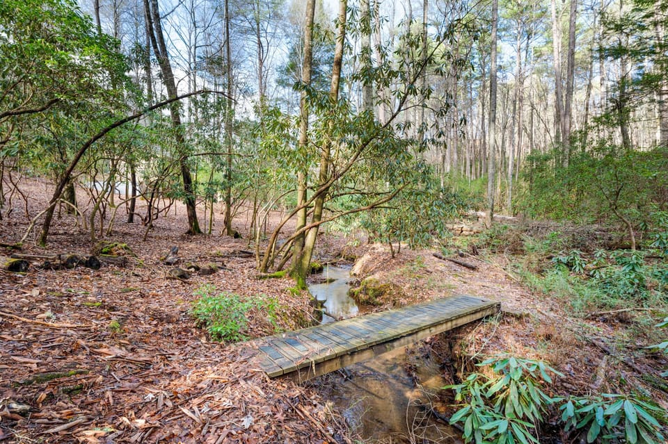 Trail Side Retreat: Creek Bridge Connecting to the Benton MacKaye Trail