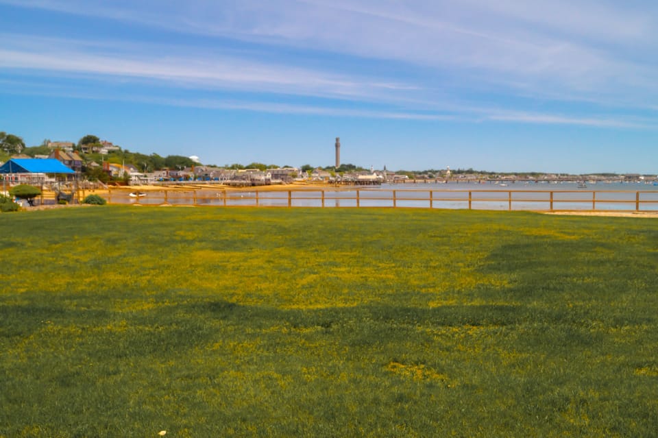 Deluxe Room, 1 King Bed, Patio, Harbor View | Beach/ocean view