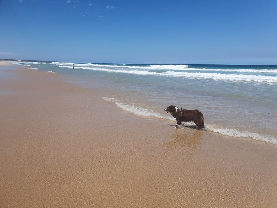 Over 10km of unspoiled, nearly empty beach all the way to Norah Head.