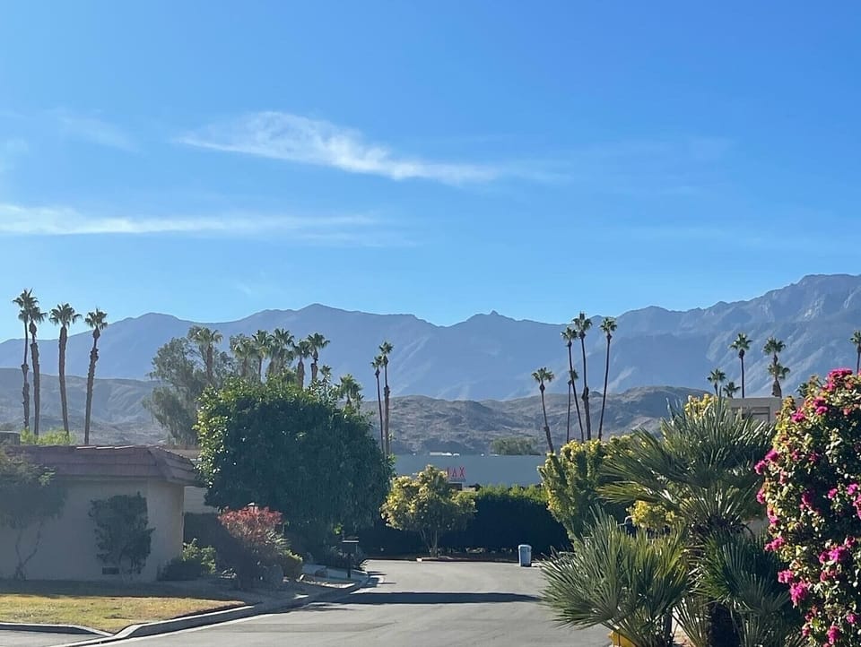 View from the driveway