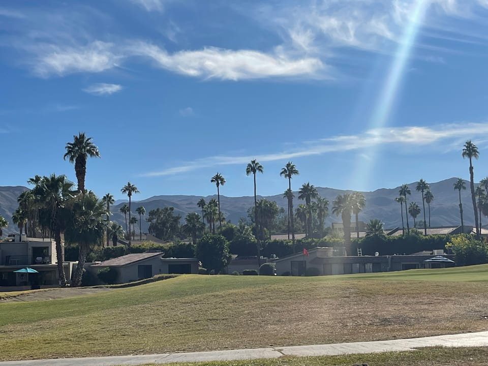 View from the back patio