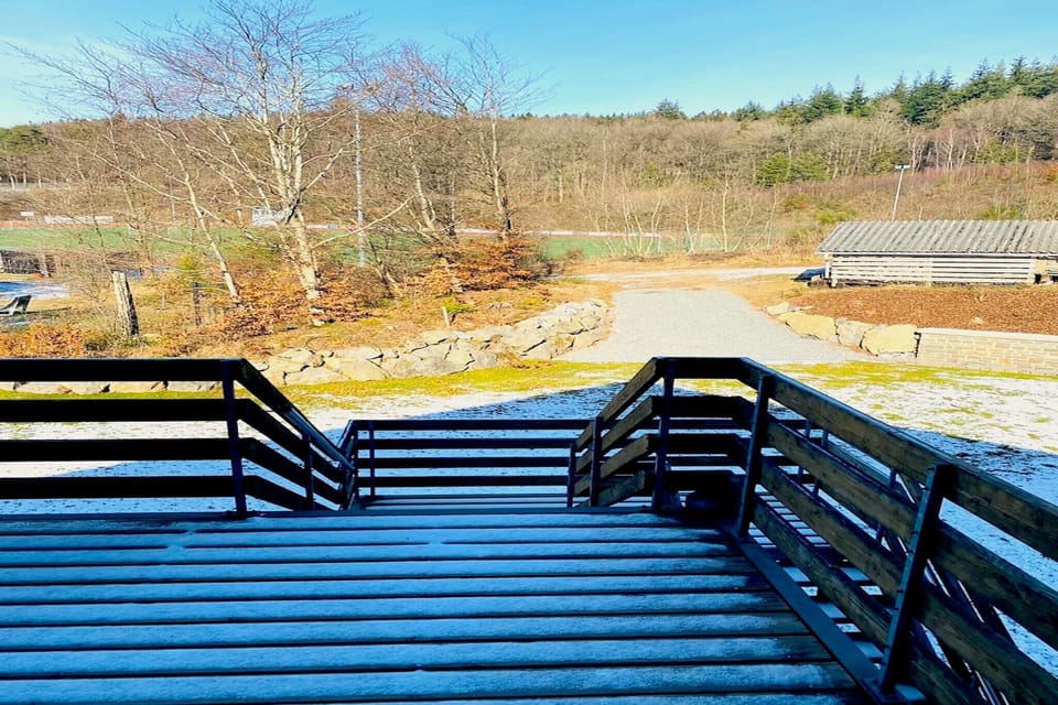 Patio / Balcony