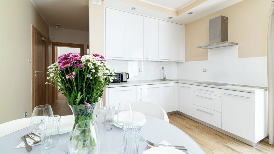 Apartment (8/8) | Private kitchenette | Fridge, stovetop, dishwasher, electric kettle