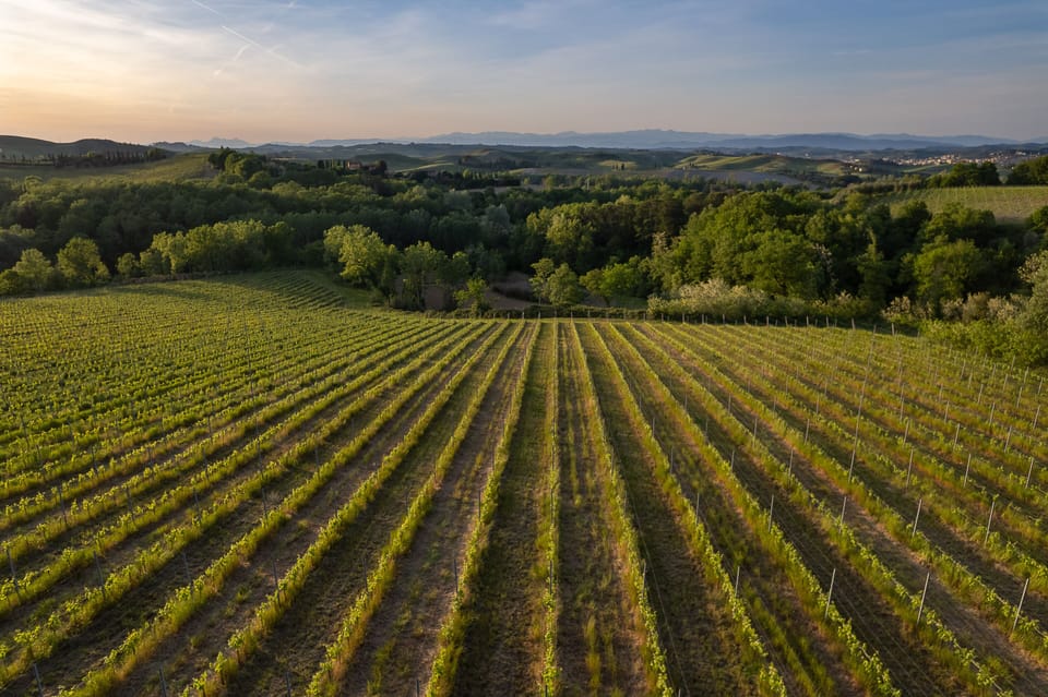 Land view from property