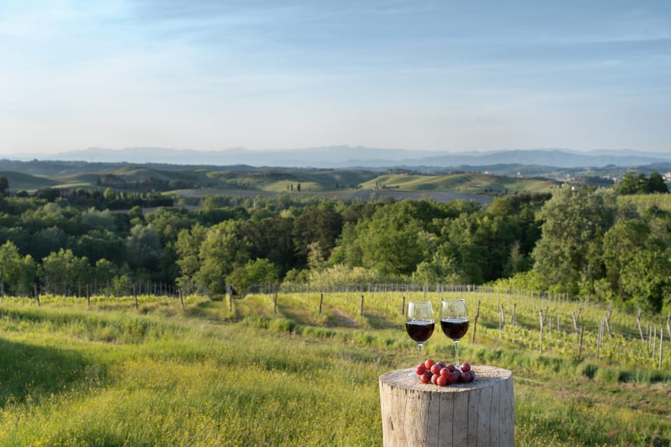 Land view from property