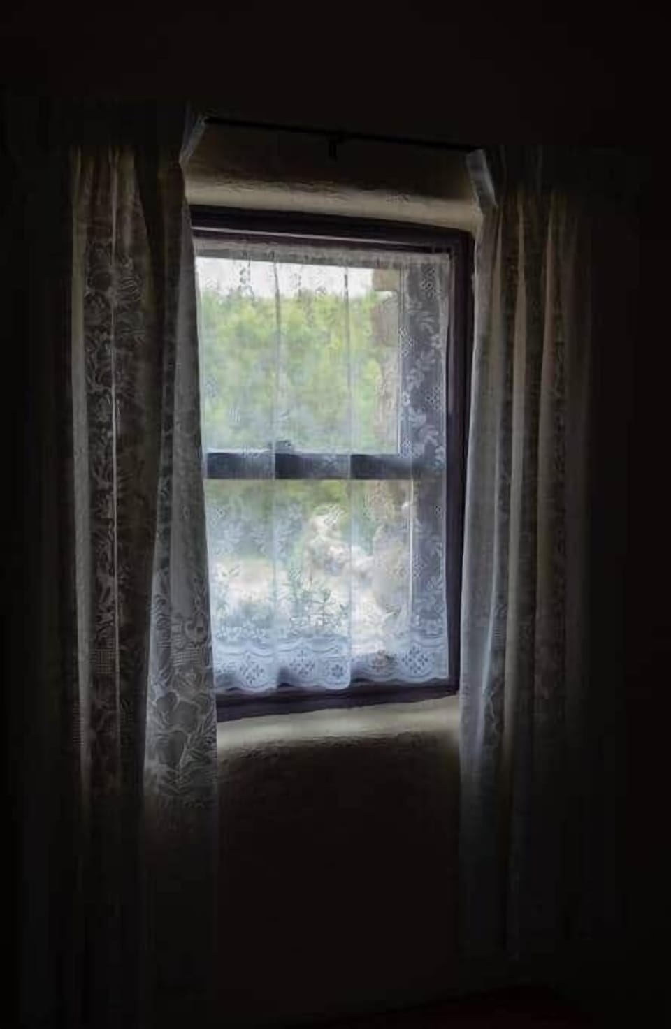 Sash windows with lace curtains