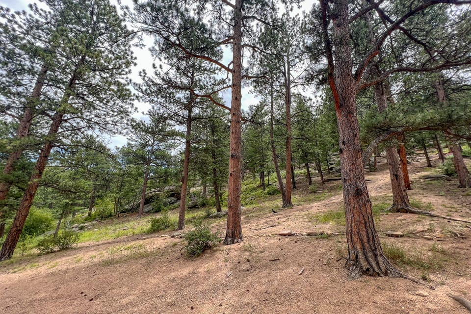 1 Bedroom Hot Tub Cabin Castle Pines | View from room