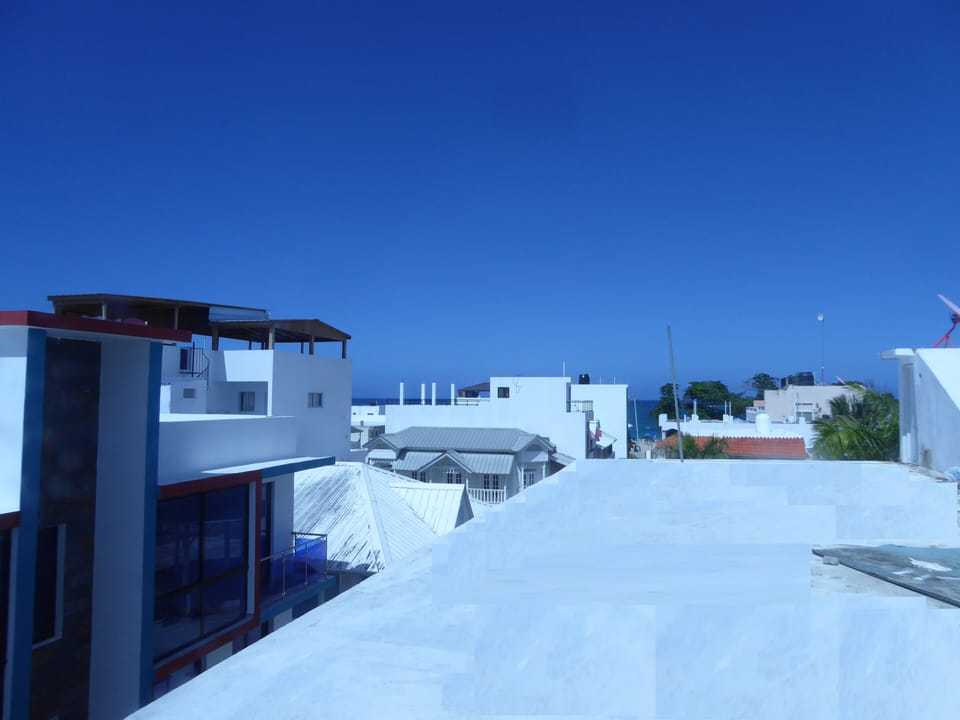 Presidential Apartment | View from room